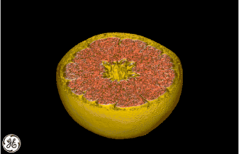 3D CT scan of a grapefruit